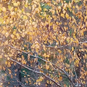 Meet your Posher, Benny